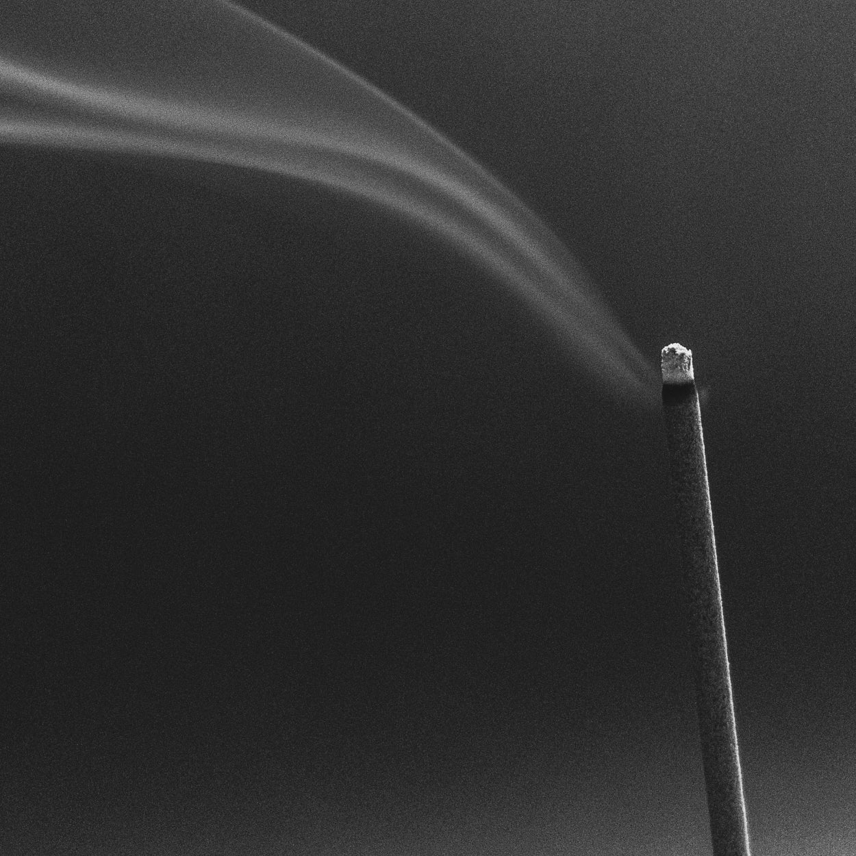 Sen Incense - Koke