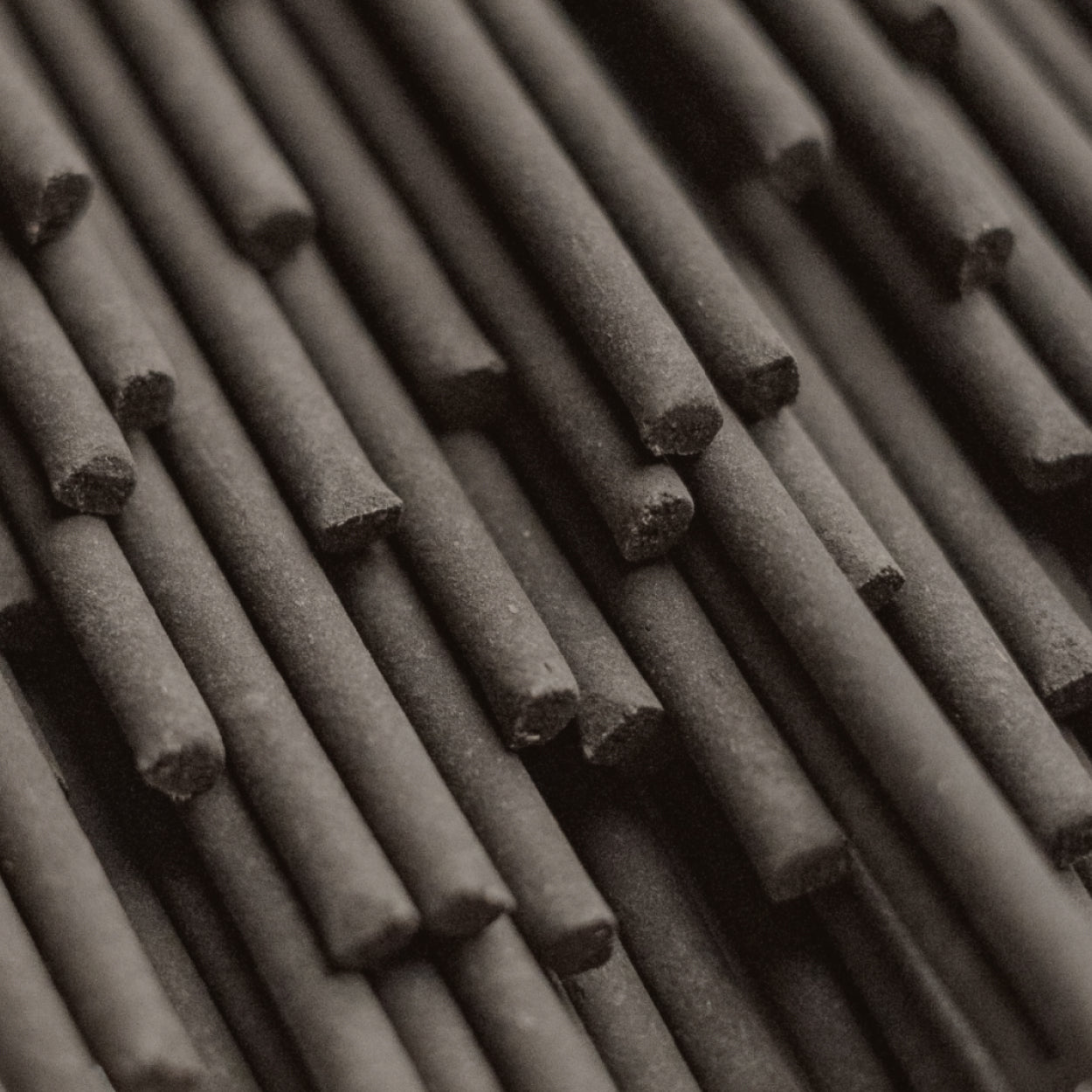 Sen Incense - Sugi